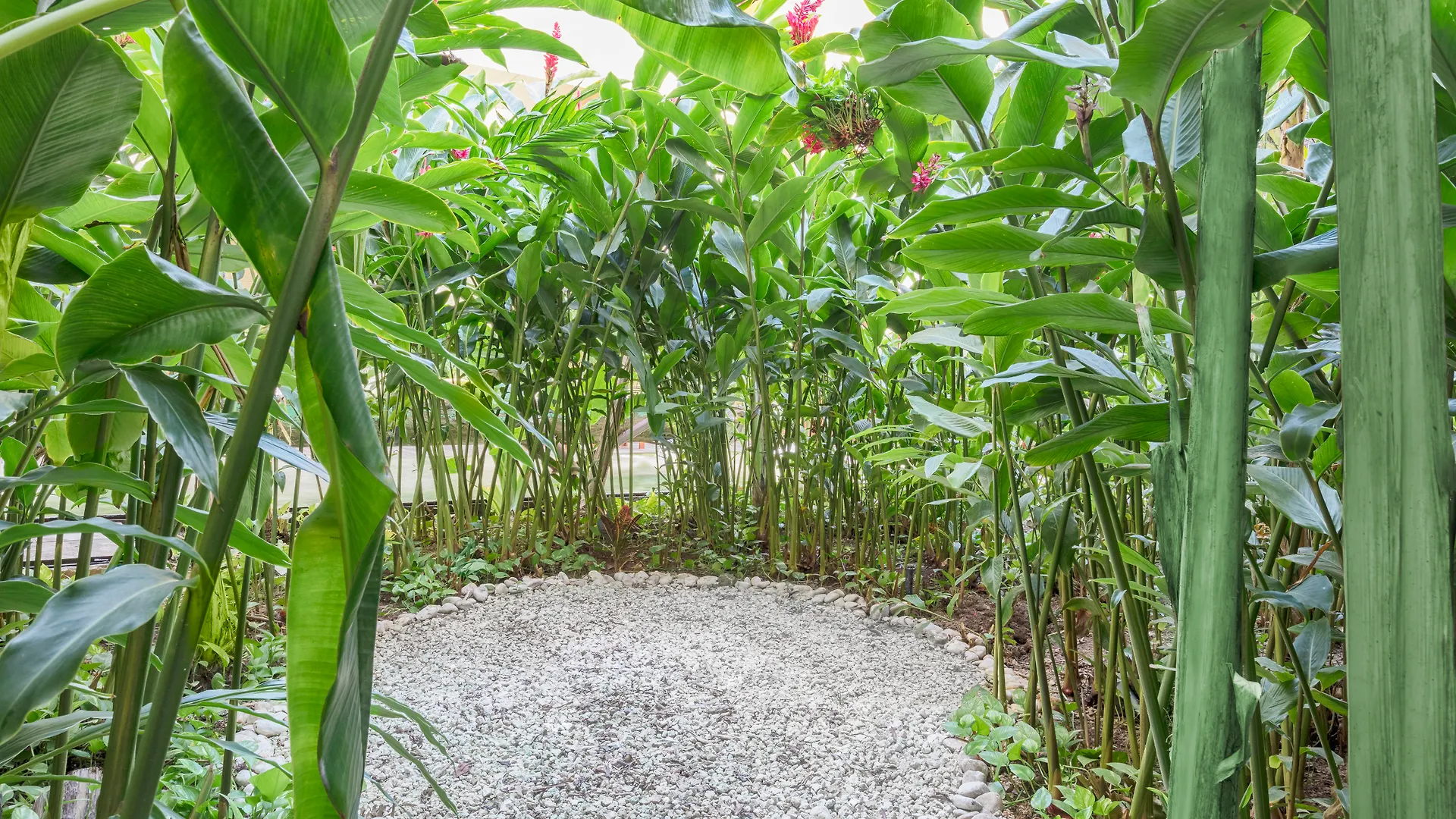 The Yucatan Playa Del Carmen, Tapestry Collection By Hilton (Adults Only) Hotel 4*,  Mexico